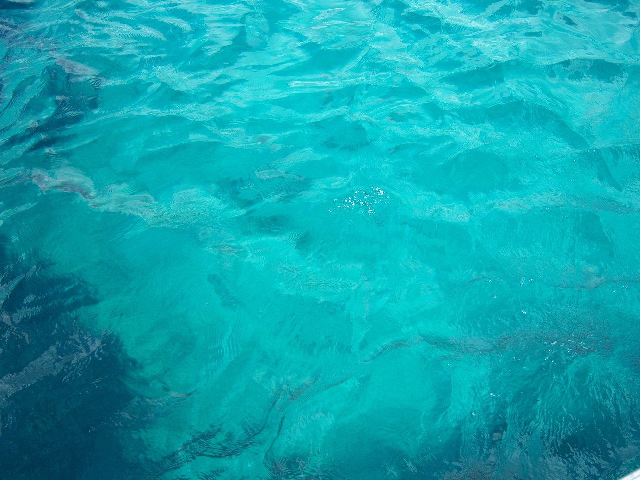 Blue Water in the Sea